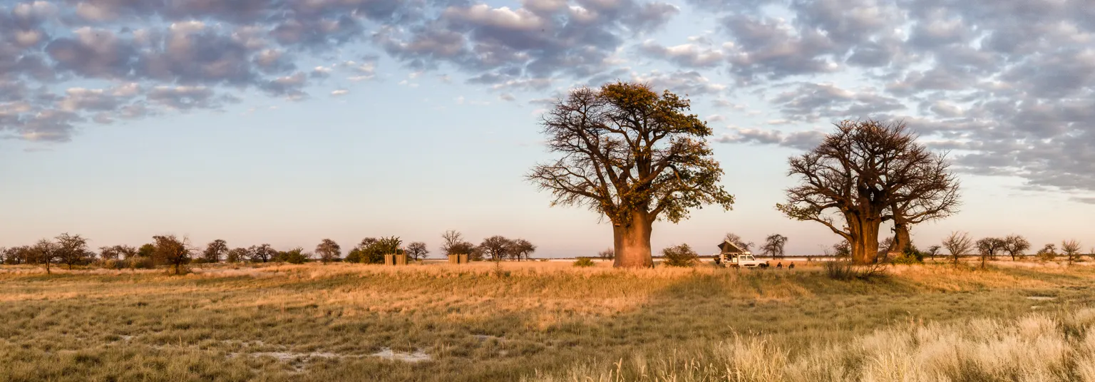 Auto mieten in Botswana