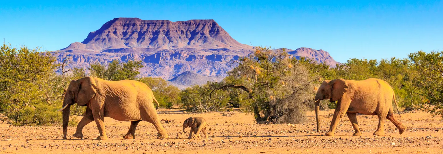 Auto mieten ab Windhoek Flughafen mit Sunny Cars