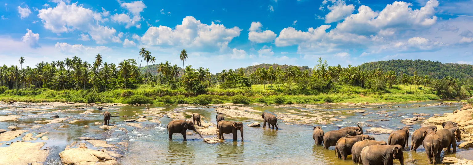 Auto mieten in Sri Lanka mit Sunny Cars