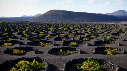 Urlaub auf Lanzarote