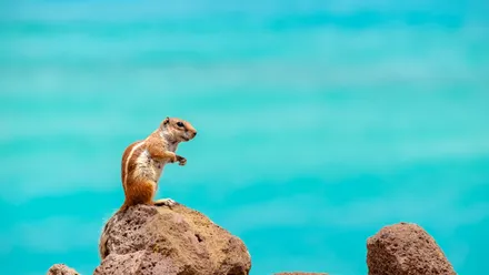 Fuerteventura Reisevorbereitung