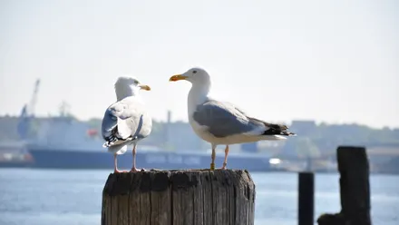 Hamburg: Praktische Tipps