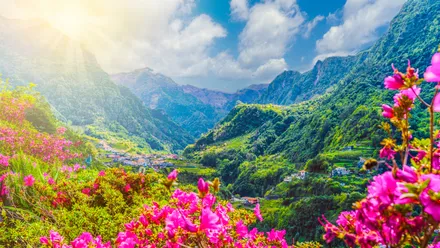 Madeira: Praktische Tipps für Ihren Mietwagen-Urlaub