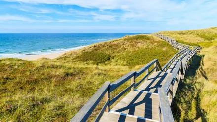 Holzsteg durch die Dünenlandschaft auf Sylt mit Blick auf Meer und Strand