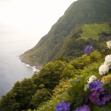 Steile grüne Klippen auf São Miguel mit Blick auf die Küste, schwarze Lavasteine am Ufer und blühende Hortensien im Vordergrund