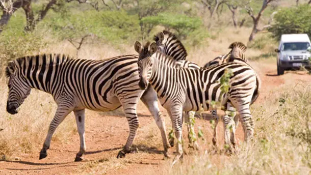 Autohuur Zuid-Afrika