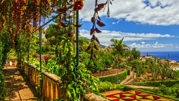 Funchal & Madeira mit Sunny Cars erkunden