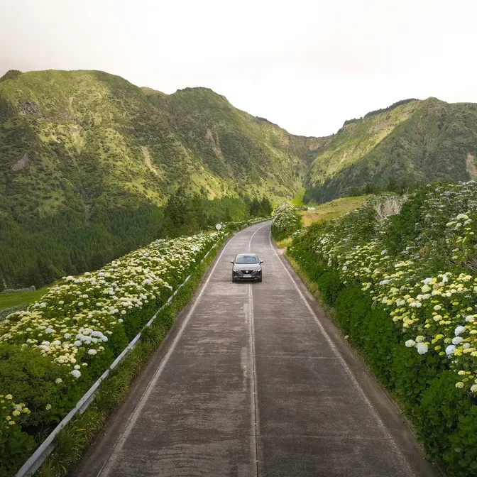 Auto fährt auf Straße auf den Azoren durch grüne Landschaft