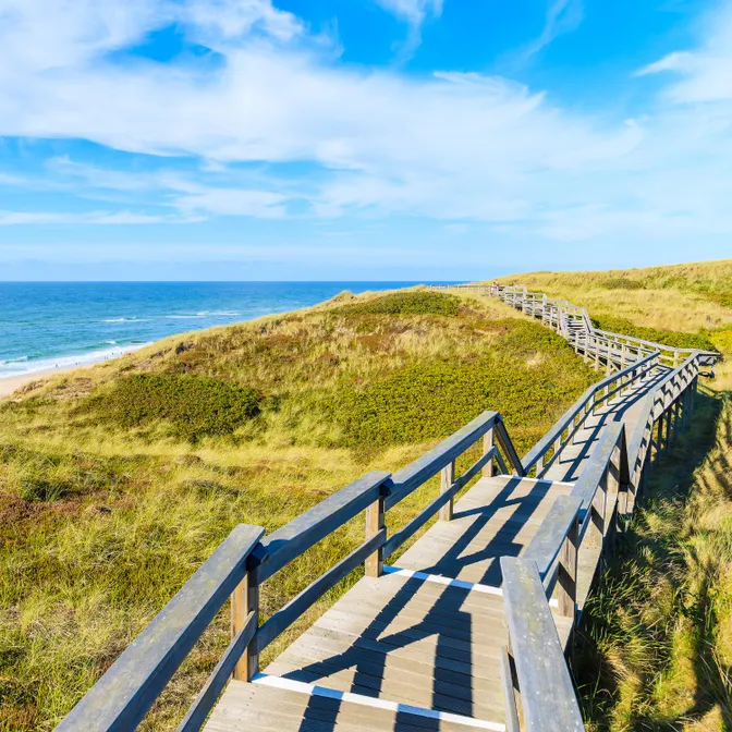 Holzsteg durch die Dünenlandschaft auf Sylt mit Blick auf Meer und Strand