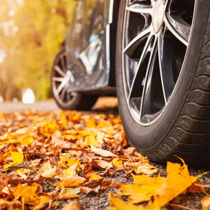 Auto parkt im Herbst an Straße