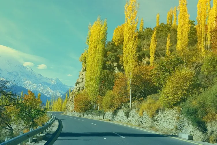 Autoweg in bergen