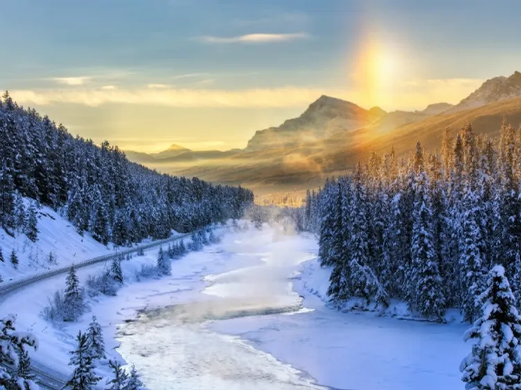 1 The Revenant : Canada